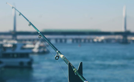 ����������-���������ʹ�����ҳ